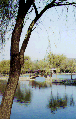 scene