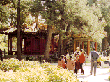 The Emperor's Garden